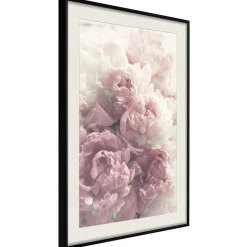 Poster 'Delicate Peonies'