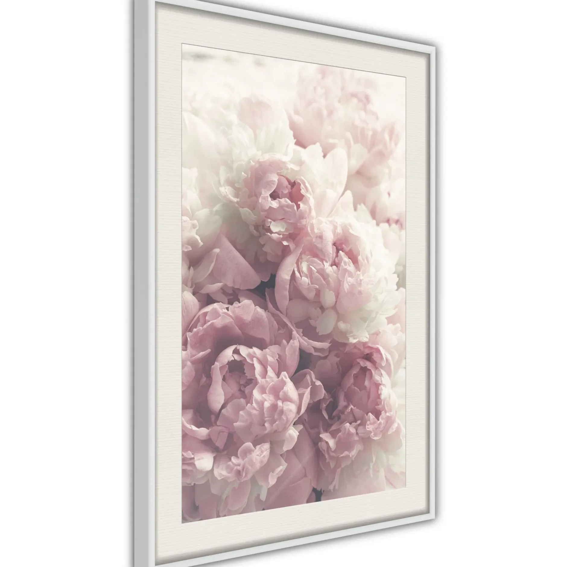 Poster 'Delicate Peonies'