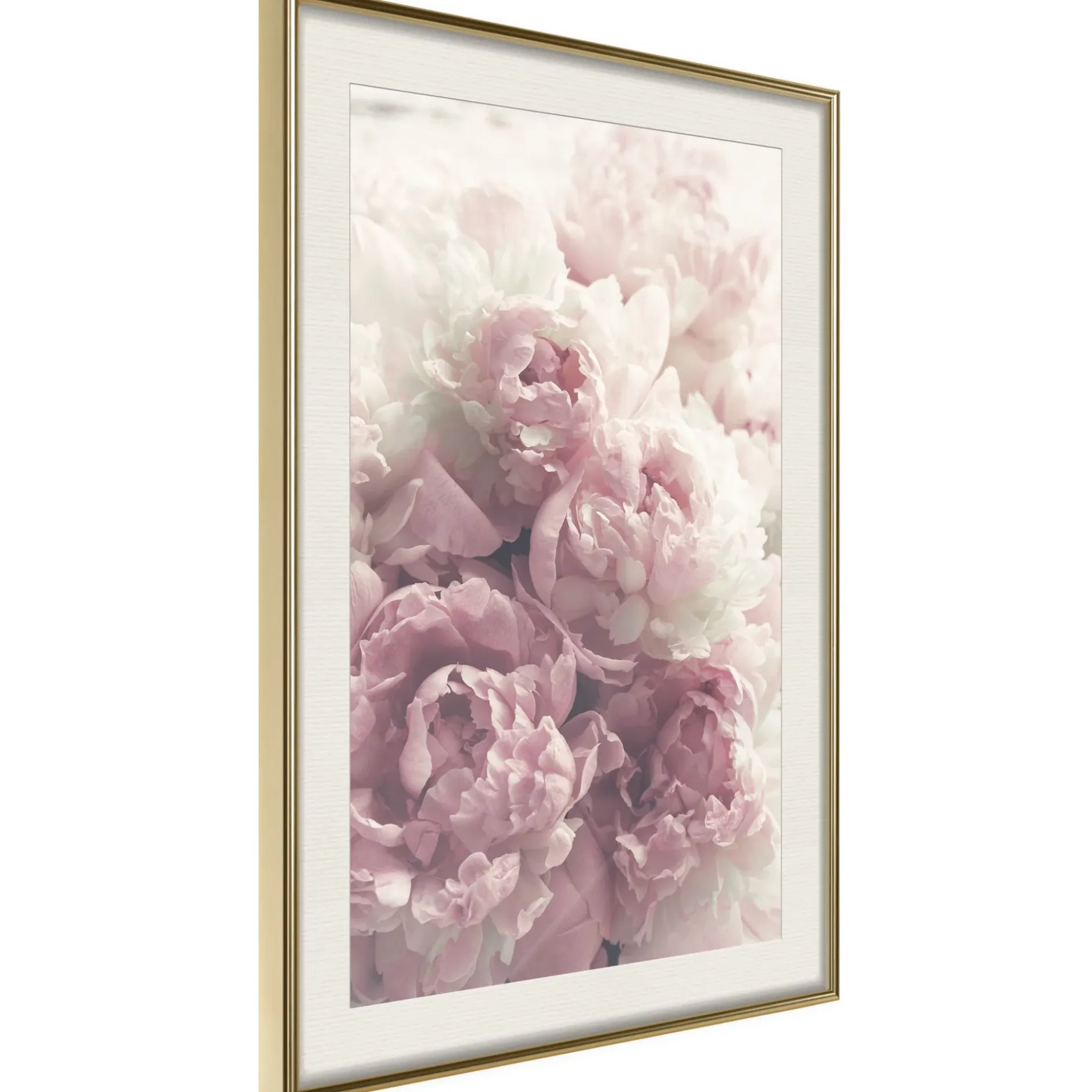 Poster 'Delicate Peonies'