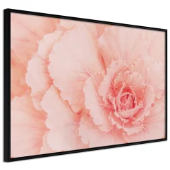 Poster 'Delicate Petals'