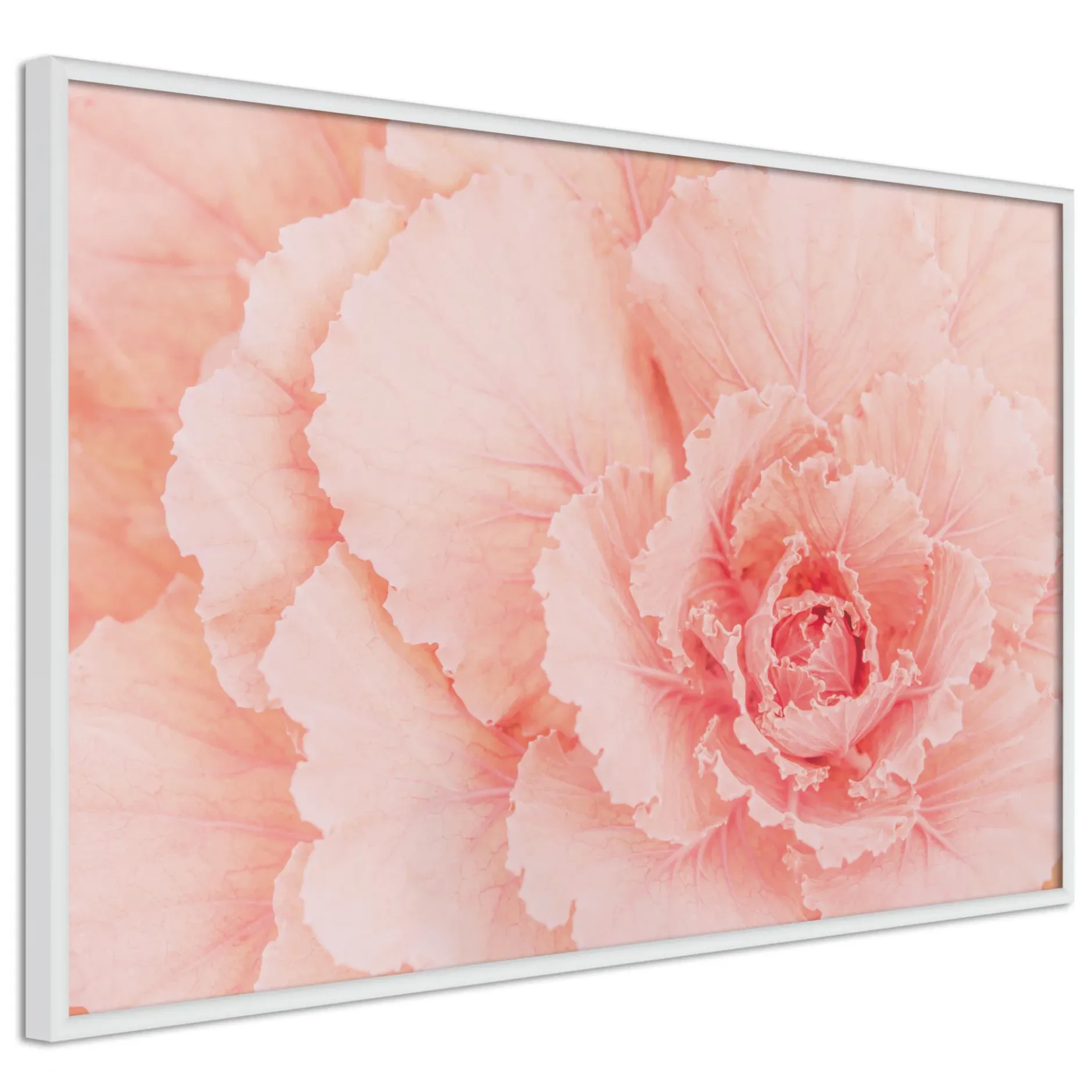 Poster 'Delicate Petals'