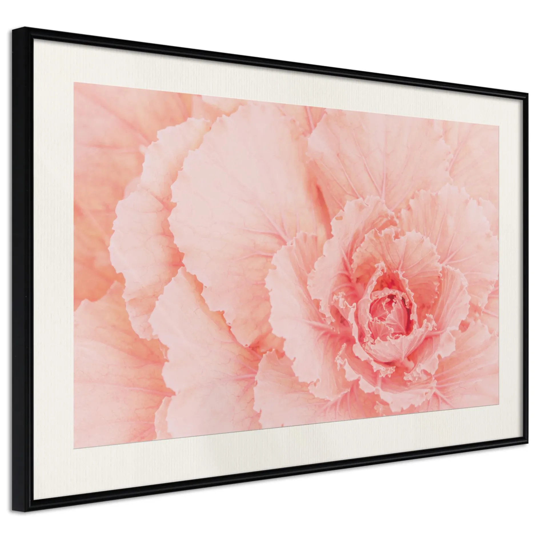 Poster 'Delicate Petals'
