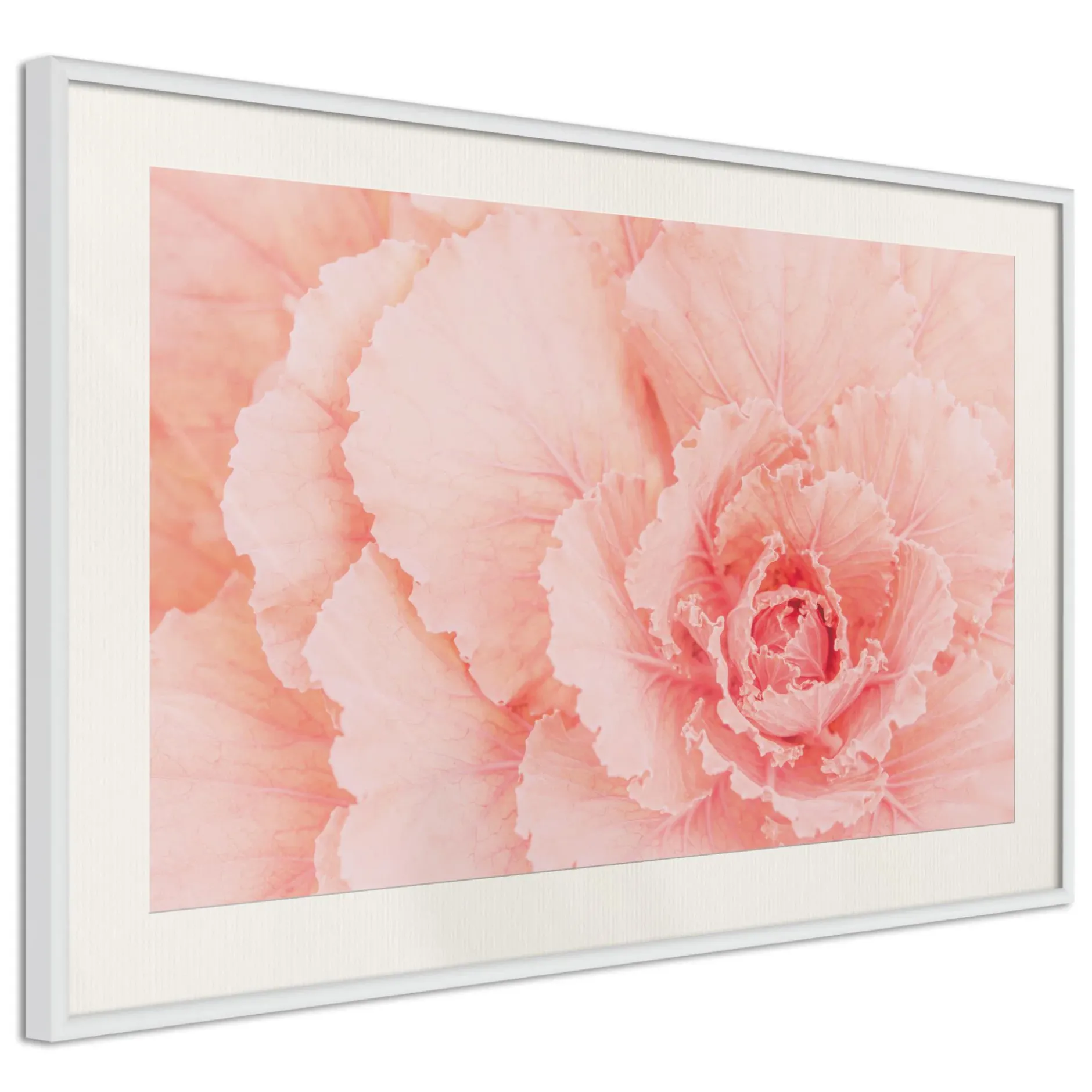 Poster 'Delicate Petals'