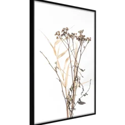 Poster 'Diary of a Herbalist'