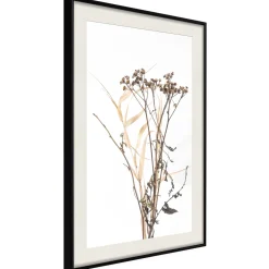 Poster 'Diary of a Herbalist'