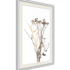 Poster 'Diary of a Herbalist'