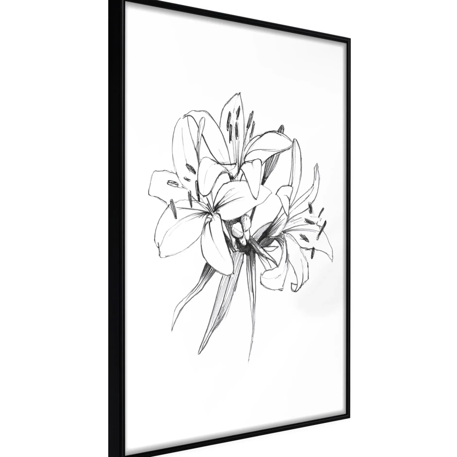 Poster 'Drawn Flowers'