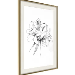 Poster 'Drawn Flowers'
