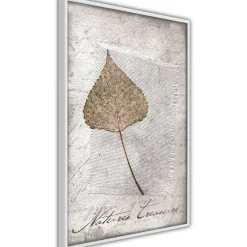 Poster 'Dried Leaf'