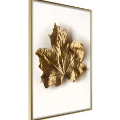Poster 'Dried Maple Leaf'