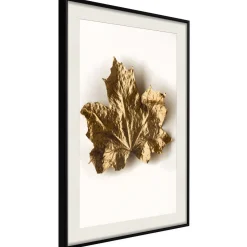 Poster 'Dried Maple Leaf'