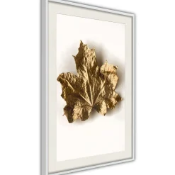 Poster 'Dried Maple Leaf'