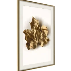 Poster 'Dried Maple Leaf'