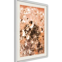 Poster 'Drops on Dandelion'