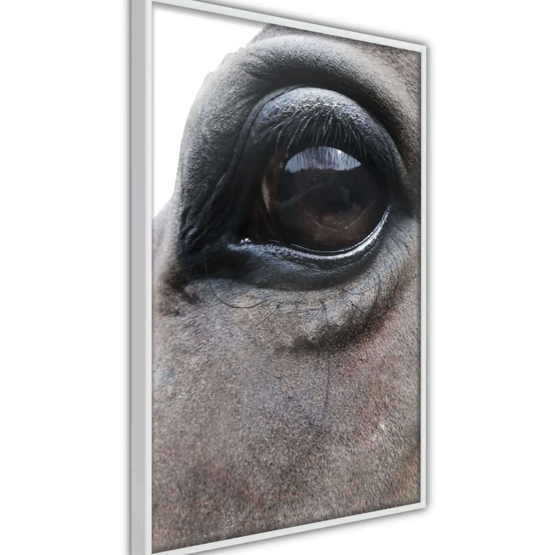 Poster 'Honest Eyes'