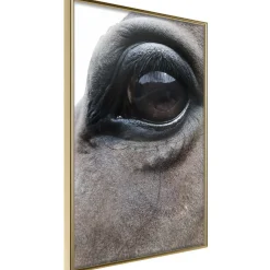 Poster 'Honest Eyes'