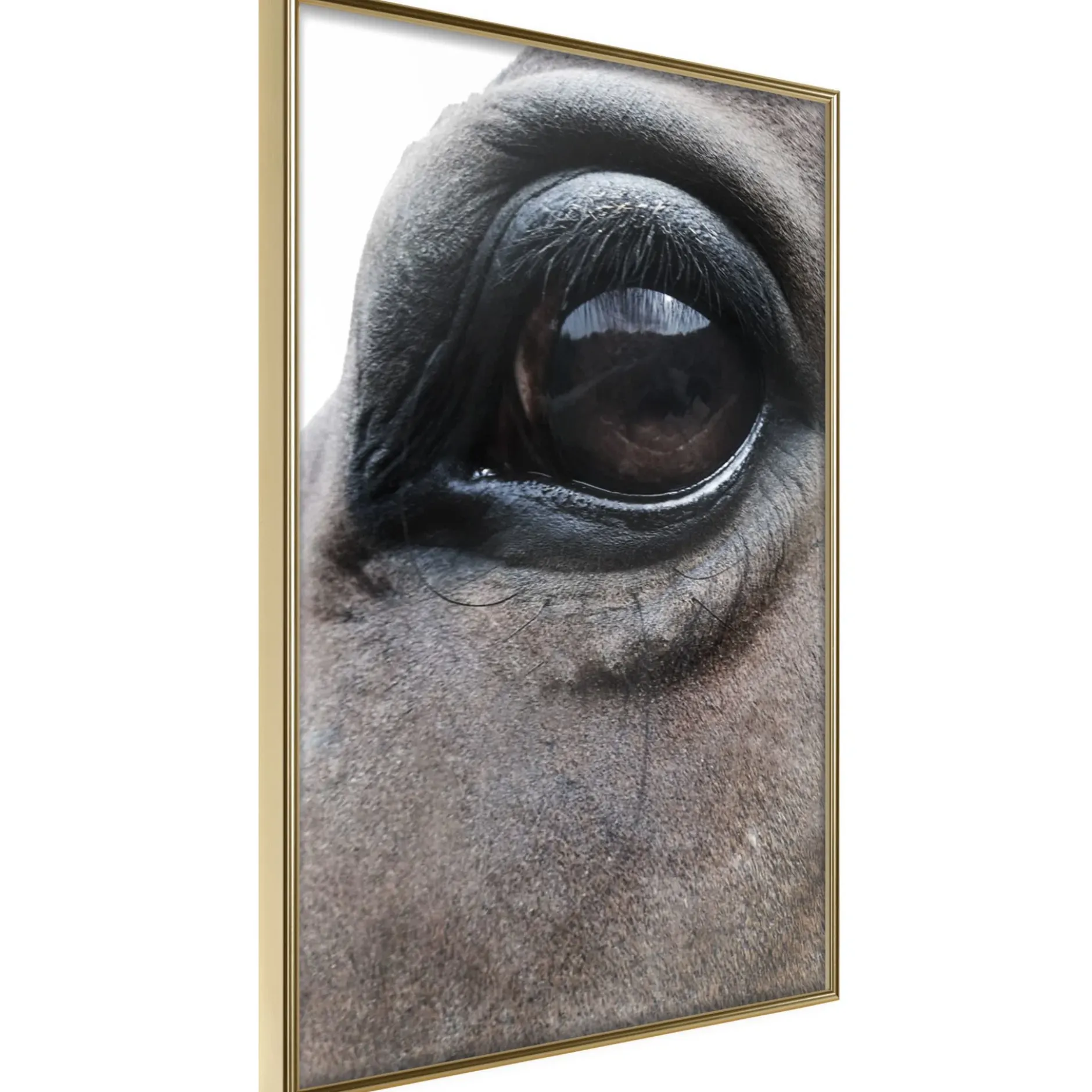 Poster 'Honest Eyes'