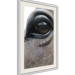 Poster 'Honest Eyes'