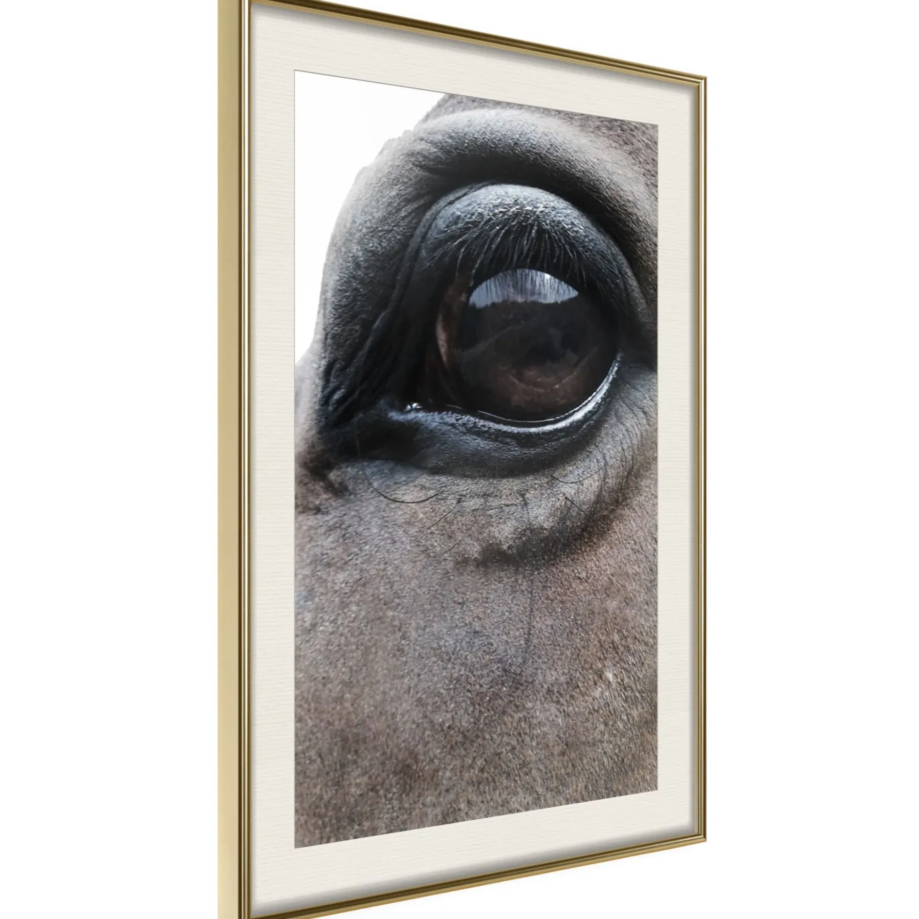 Poster 'Honest Eyes'