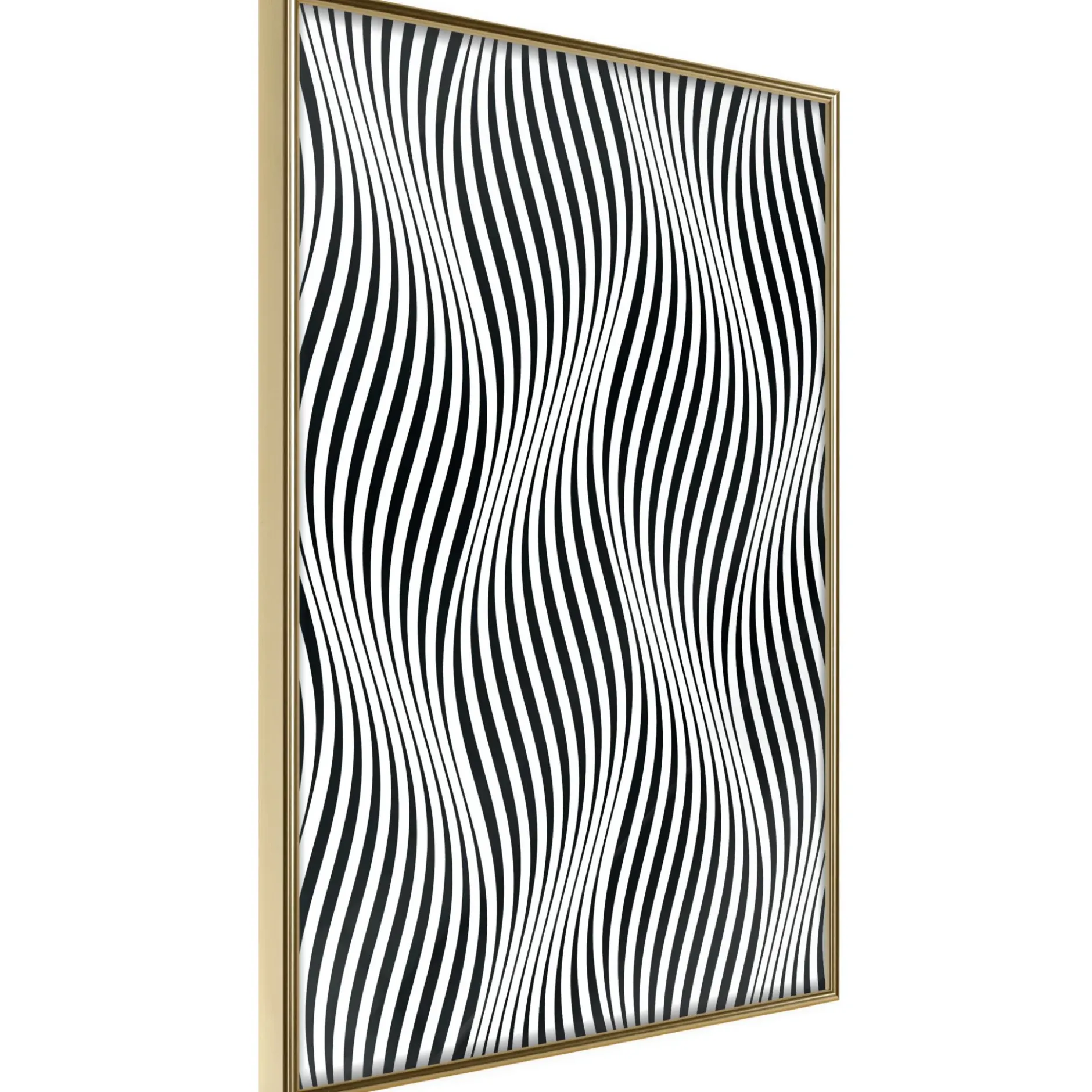 Poster 'Illusion of Movement'
