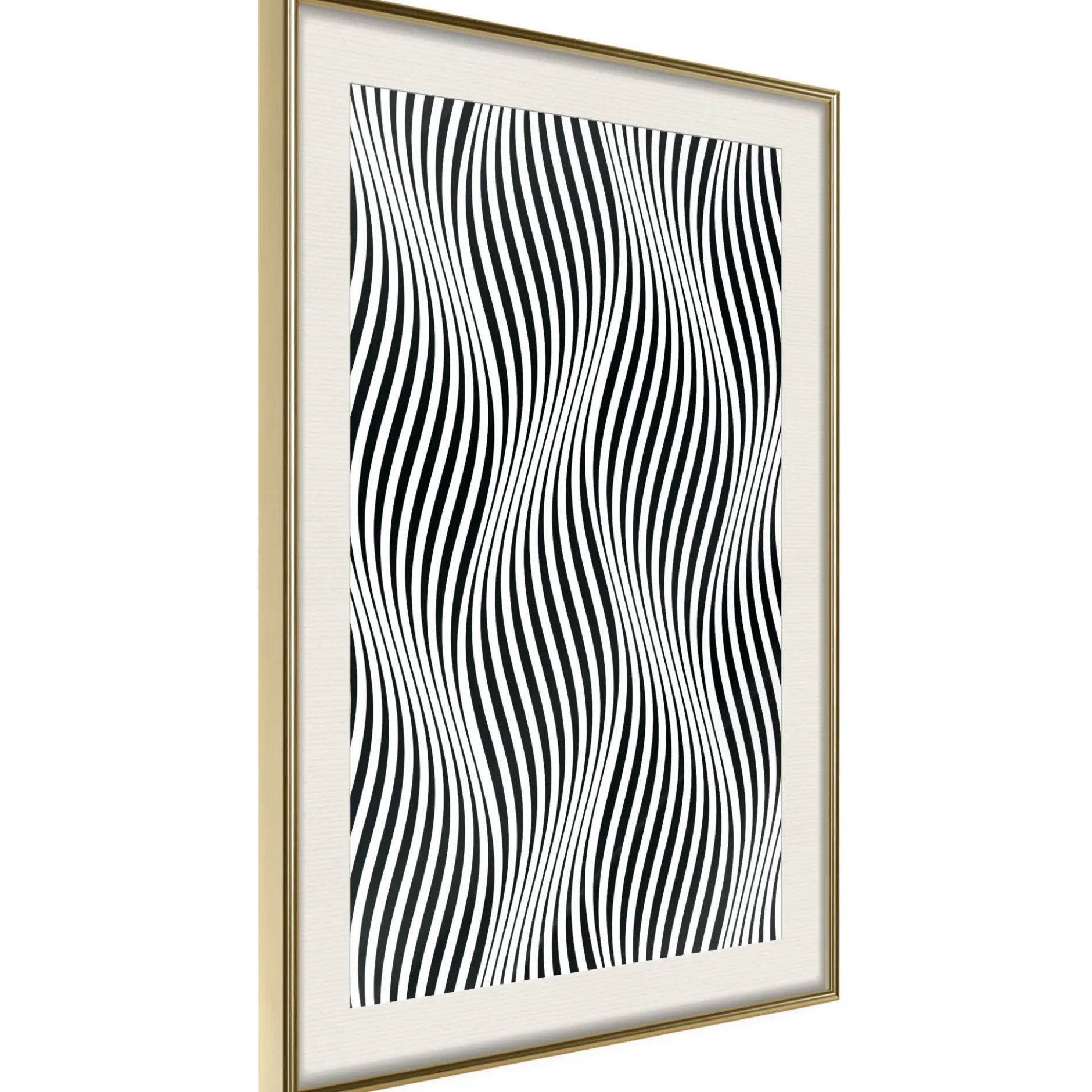 Poster 'Illusion of Movement'