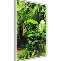 Poster 'In the Rainforest'