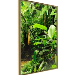 Poster 'In the Rainforest'