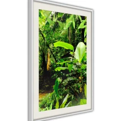 Poster 'In the Rainforest'