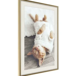 Poster 'Lazy Cat'