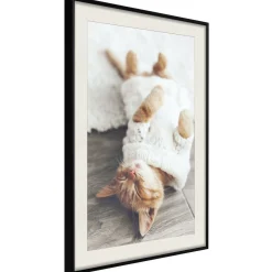 Poster 'Lazy Cat'