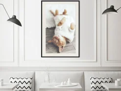 Poster 'Lazy Cat'