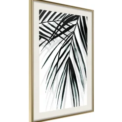 Poster 'Leaf and Its Shadow'