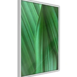 Poster 'Leaf Structure'