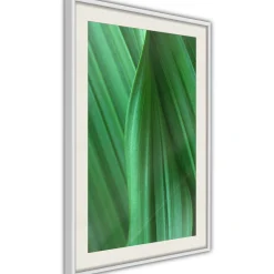 Poster 'Leaf Structure'