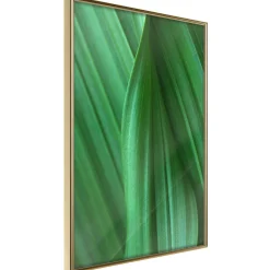 Poster 'Leaf Structure'