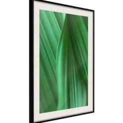 Poster 'Leaf Structure'
