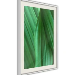 Poster 'Leaf Structure'