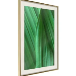 Poster 'Leaf Structure'