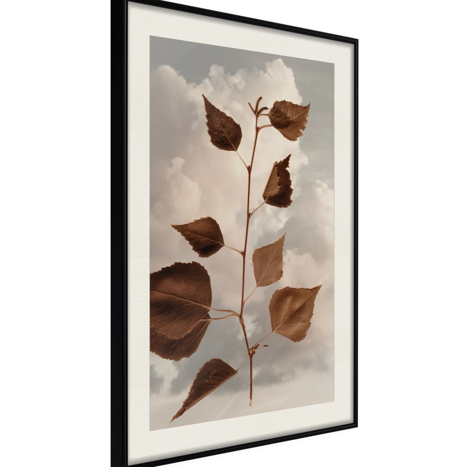 Poster 'Leaves in the Clouds'