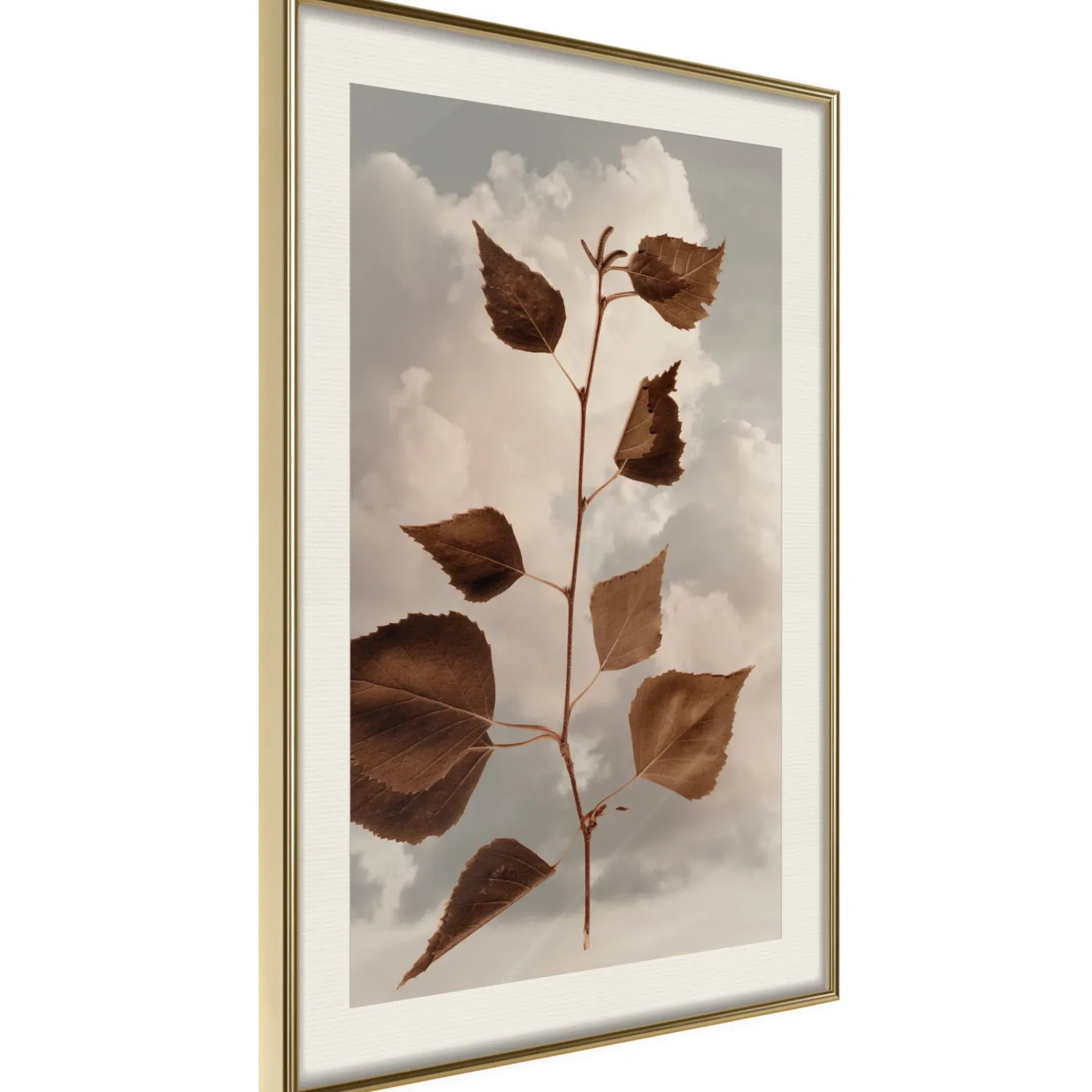 Poster 'Leaves in the Clouds'