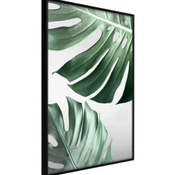 Poster 'Leaves Like Swiss Cheese'