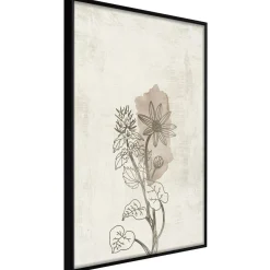 Poster 'Life of Plants'