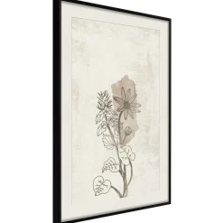 Poster 'Life of Plants'