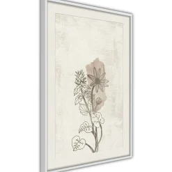 Poster 'Life of Plants'