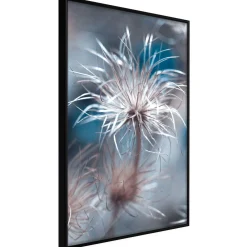 Poster 'Like a Dandelion'