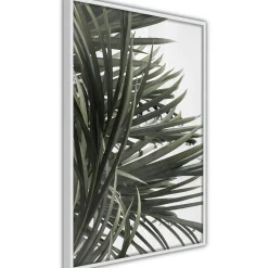 Poster 'Little Tropics'