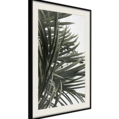 Poster 'Little Tropics'