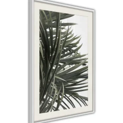 Poster 'Little Tropics'