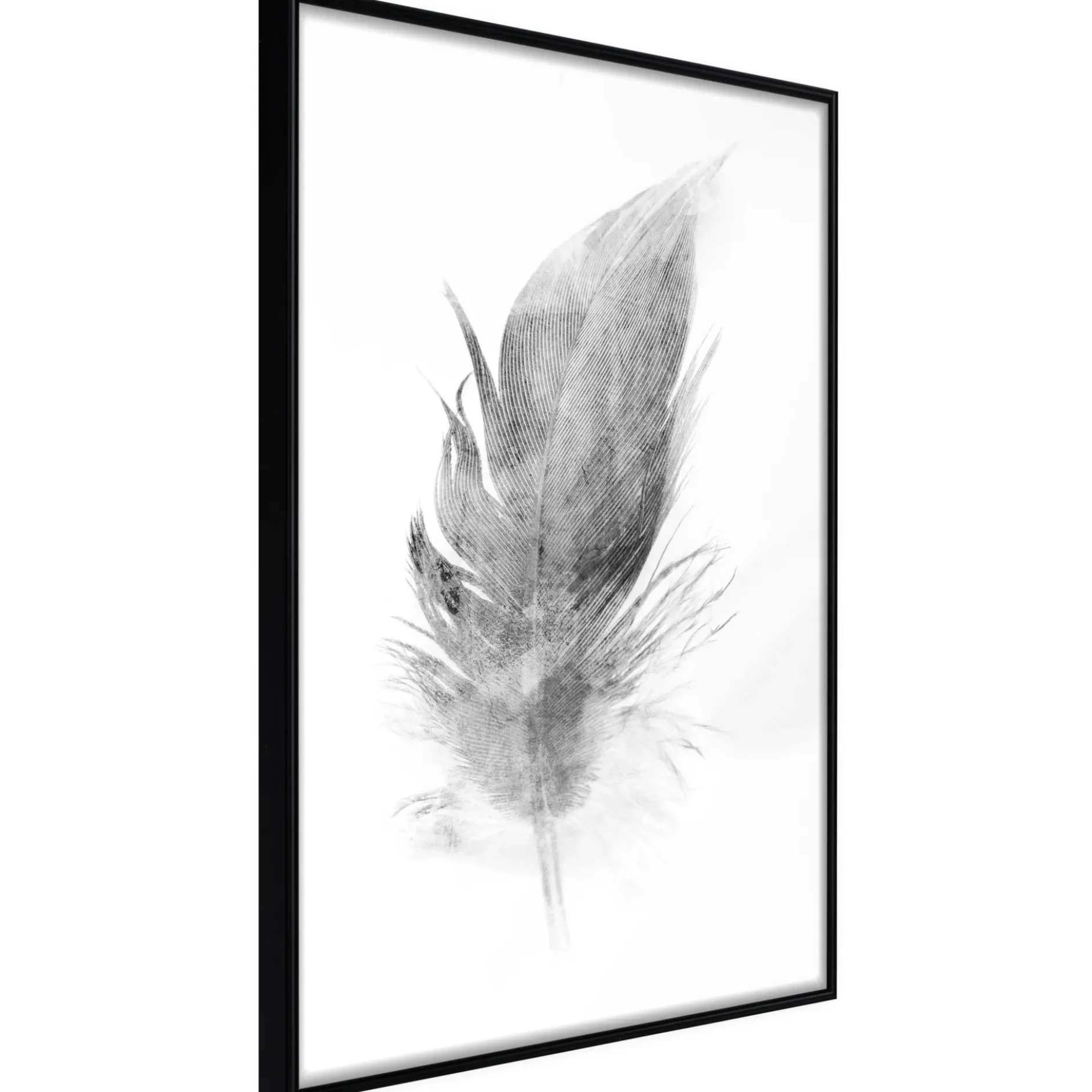 Poster 'Lost Feather (Grey)'