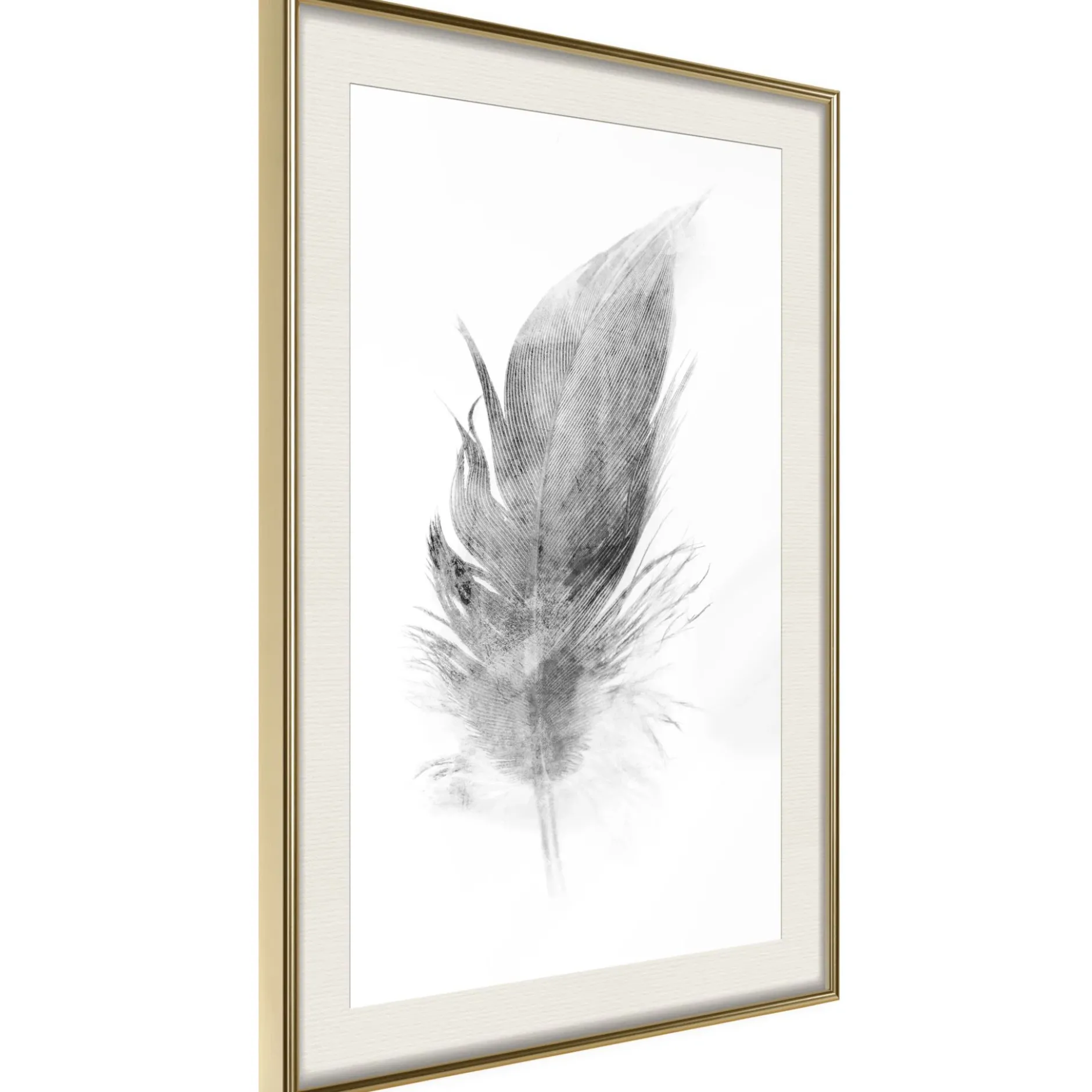 Poster 'Lost Feather (Grey)'